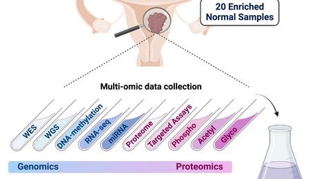 Graphic abstract from paper about endometrial cancer